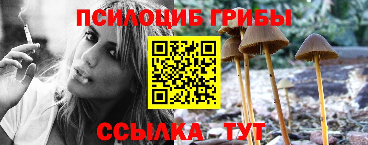 Галлюциногенные грибы Magic Shrooms Конаково