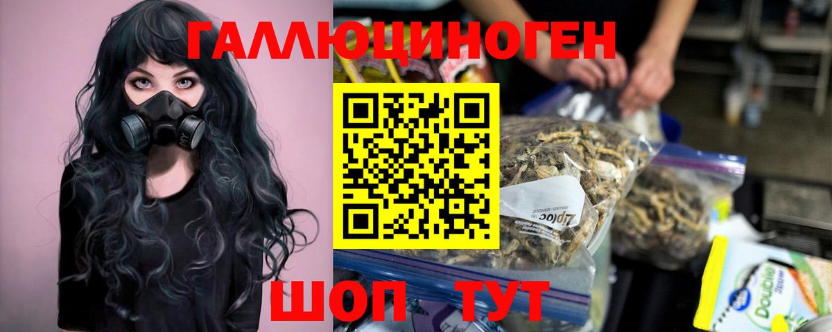 Псилоцибиновые грибы мицелий  где купить наркоту  Вход с VPN  Конаково  Галлюциногенные грибы GOLDEN TEACHER 